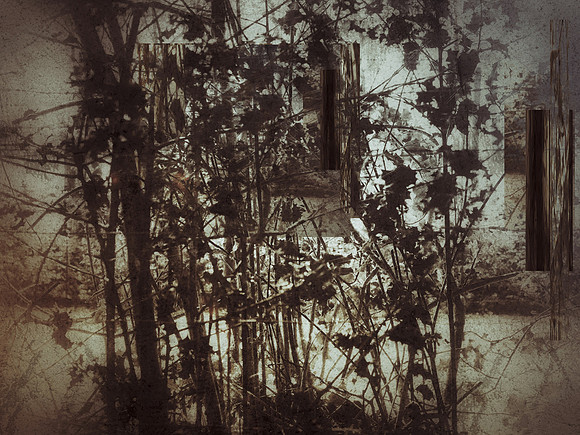 06-109