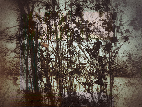 06-110