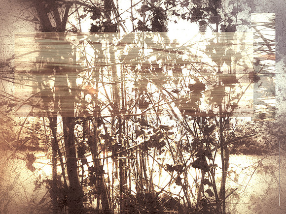06-113