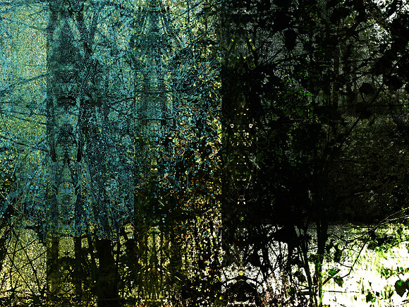 07-118