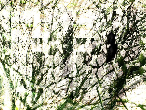 2-65