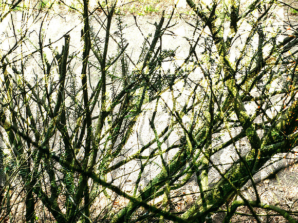 2-70