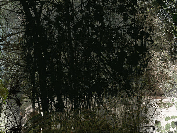 07-12