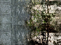 07-22