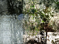 07-32