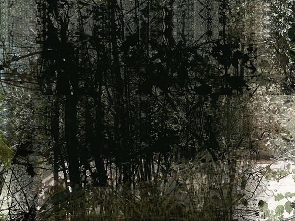 07-38