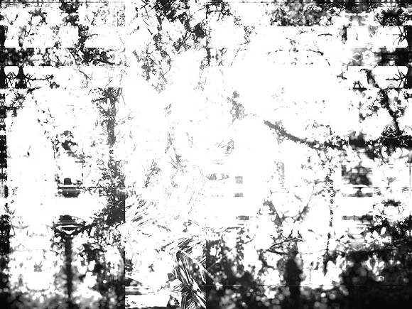 06-202