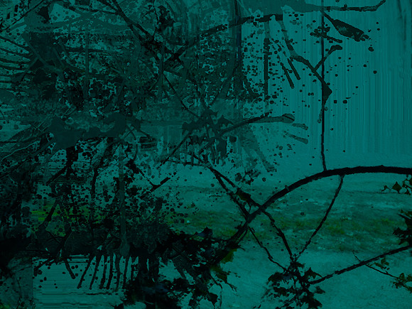 08-81