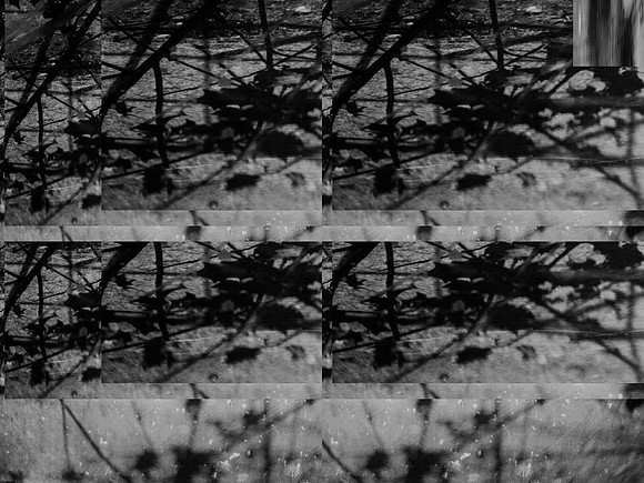 03-61