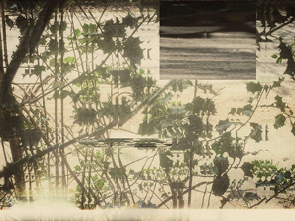 03-219