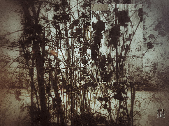 06-117