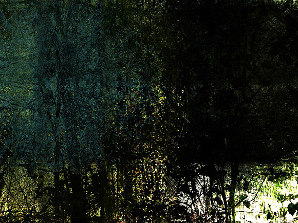 07-117