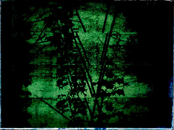 07-229