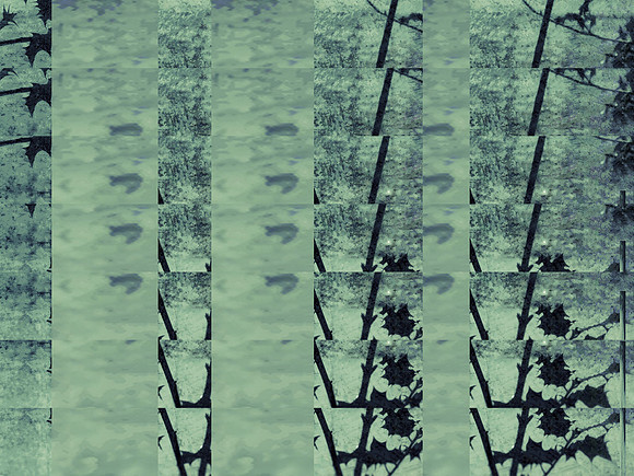 07-233