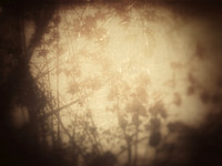 03-12