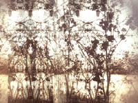 06-39