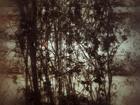 06-42