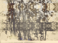 06-66