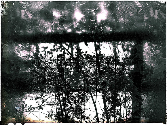06-306