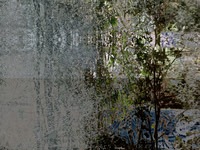 07-29
