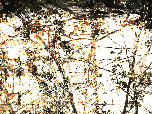 07-138