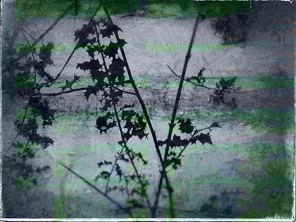 07-245