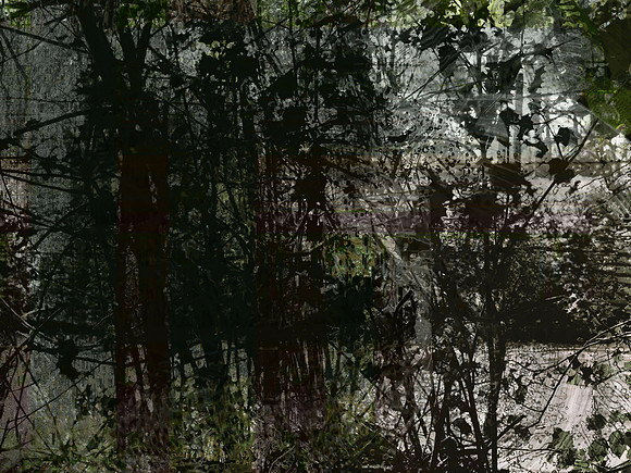 07-365