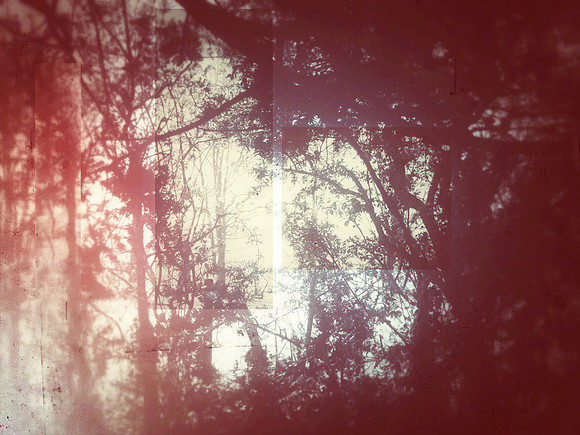 06-501