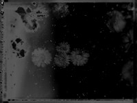 11-11