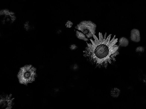 8-19
