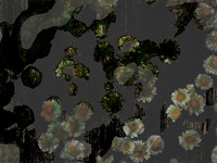 49-15