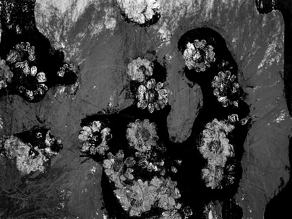 59-21