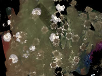 71-11