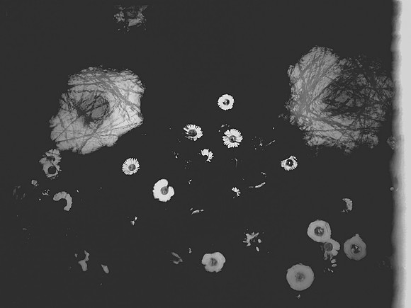 1-239