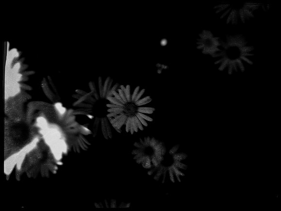 1-258