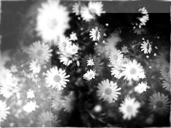 3-265