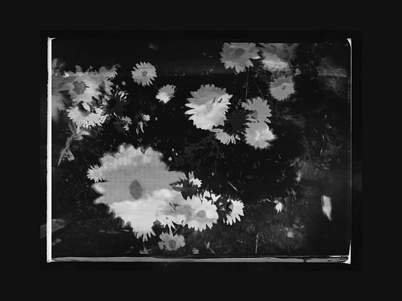3-316