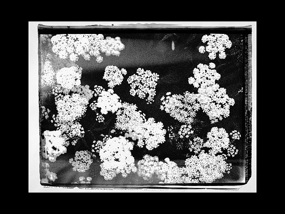 6-81