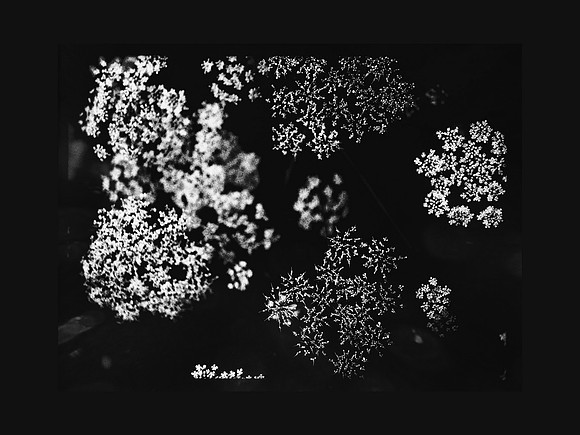 6-85