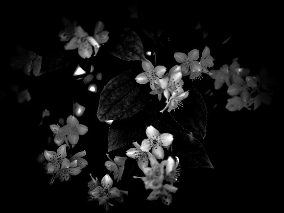 2-22