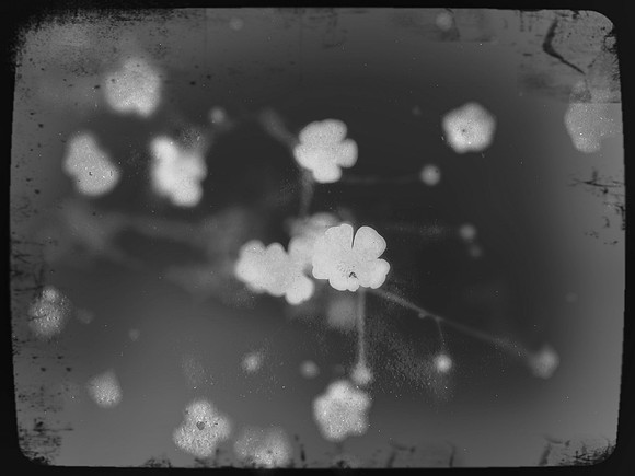 2-51