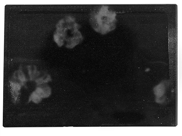 4-21