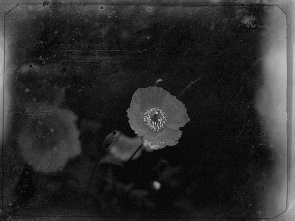 2-81