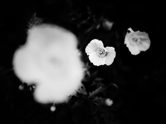 2-96