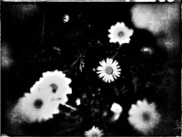 3-195