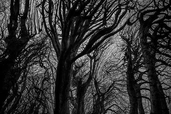 chrisfriel-5-6