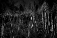 2012-12-27-26-4