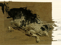 01-16