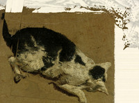 01-20