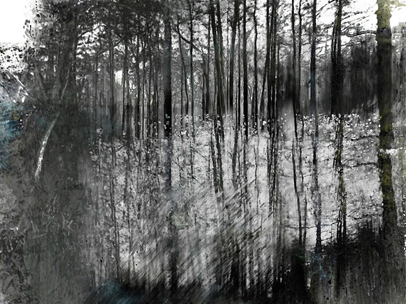 5-41